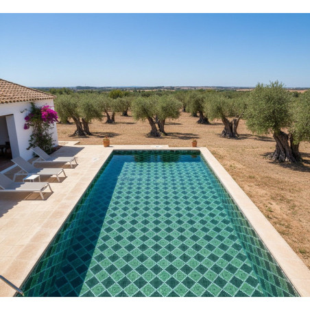 Mosaique piscine decor Fornells collection Marine