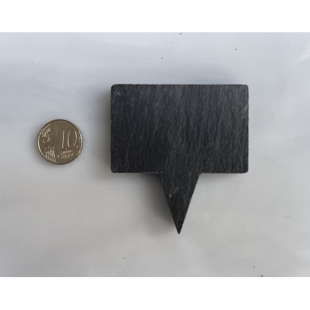 Ardoise étiquette rectangulaire 6 cm écritoire à planter