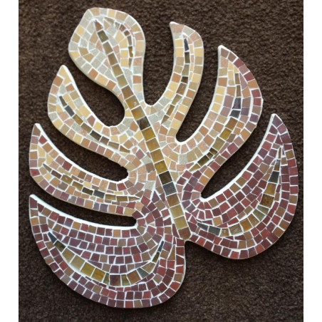 Philodendron 15 cm support bois pour mosaïque
