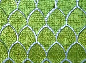 Vert anis mosaïque palmette en verre nacré vendu par 4