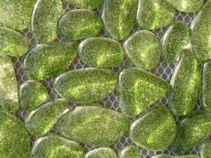 Vert bulles galet de verre par 200 g