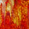 Rouge orange mottle verre semi opalescent youghiogheny vitrail plaque de 30 par 20 cm