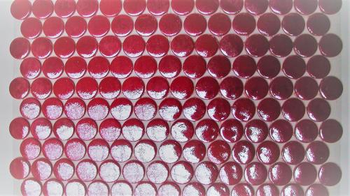 Rouge corail nacré rond pastille mosaïque émaux brillant par 100g
