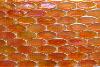 Orange mosaïque galet de verre orange calisson nacré par plaque de 29 par 29 cm